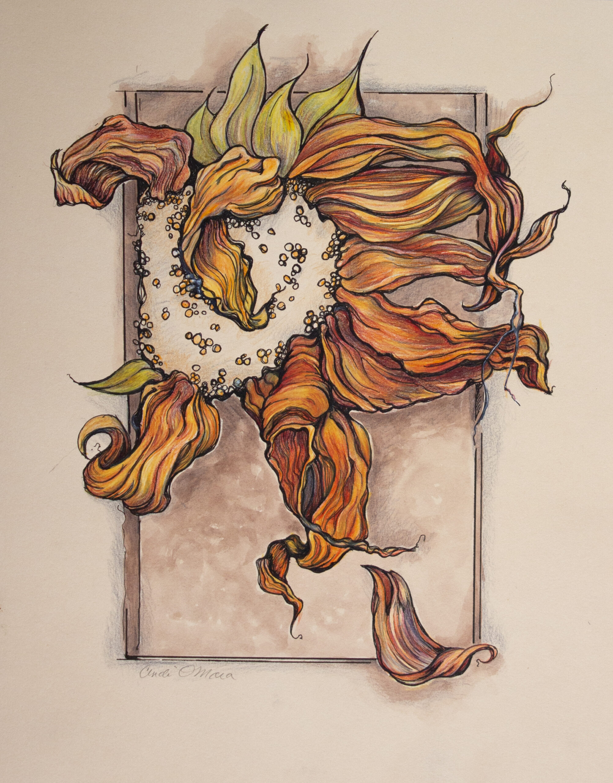 Cindi O’Mara’s – Ephemeral Flower Paintings